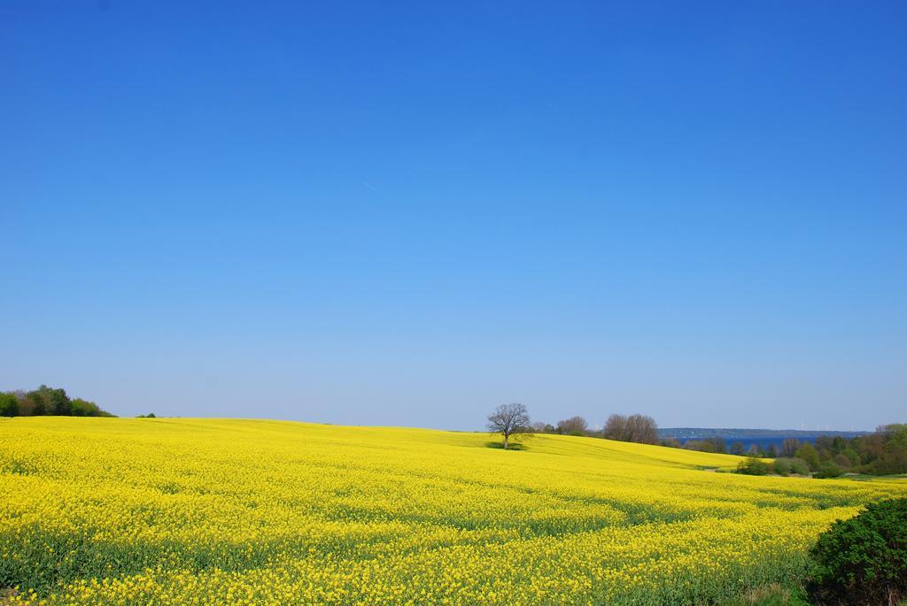Meine Ecke 1 Eckernförde エクステリア 写真